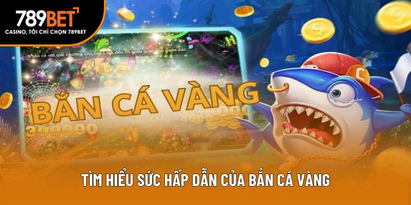 Tìm hiểu sức hấp dẫn của bắn cá vàng